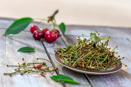 Queues de cerises
