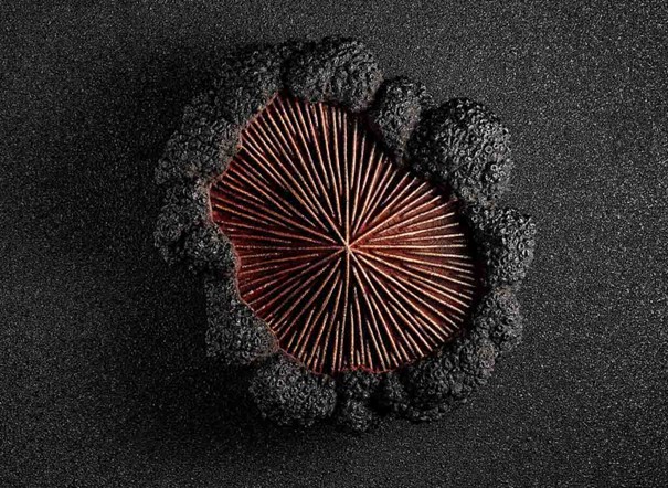 Le Diamant Noir, la b&ucirc;che exceptionnelle du Shangri-La sign&eacute;e Maxence Barbot