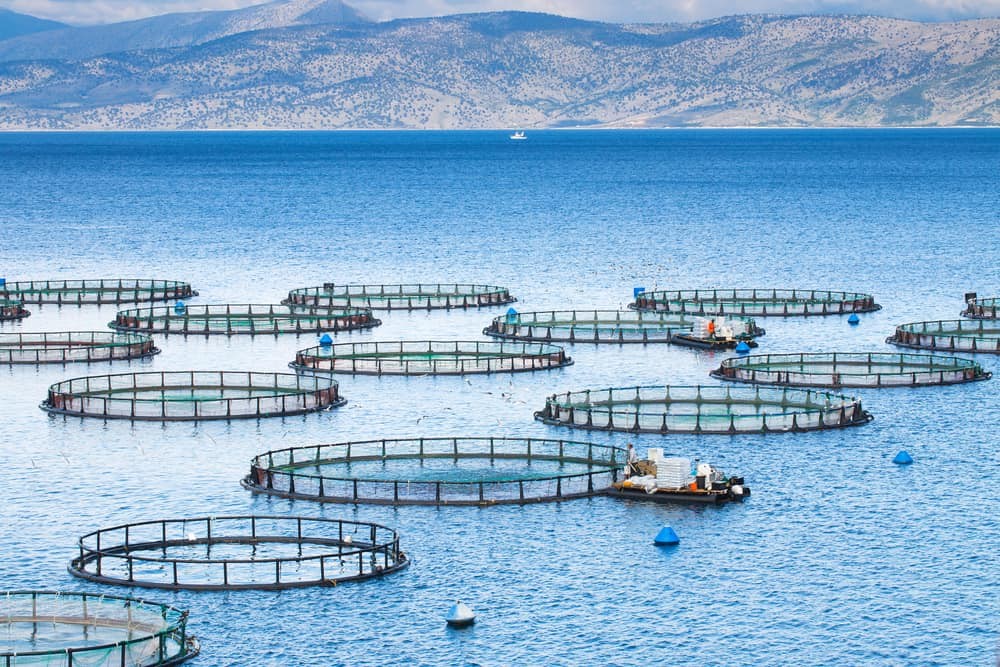 Parc d'aquaculture