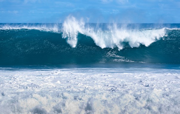 Vagues de l’océan