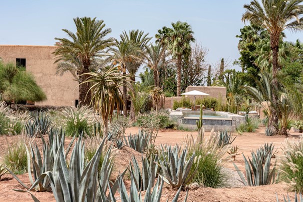 La Villa D et ses jardins à Marrakech