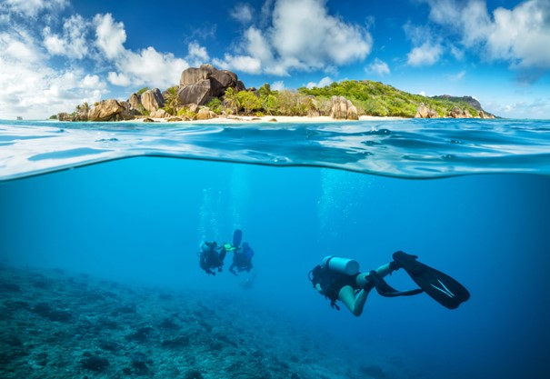 Plongée sous-marine