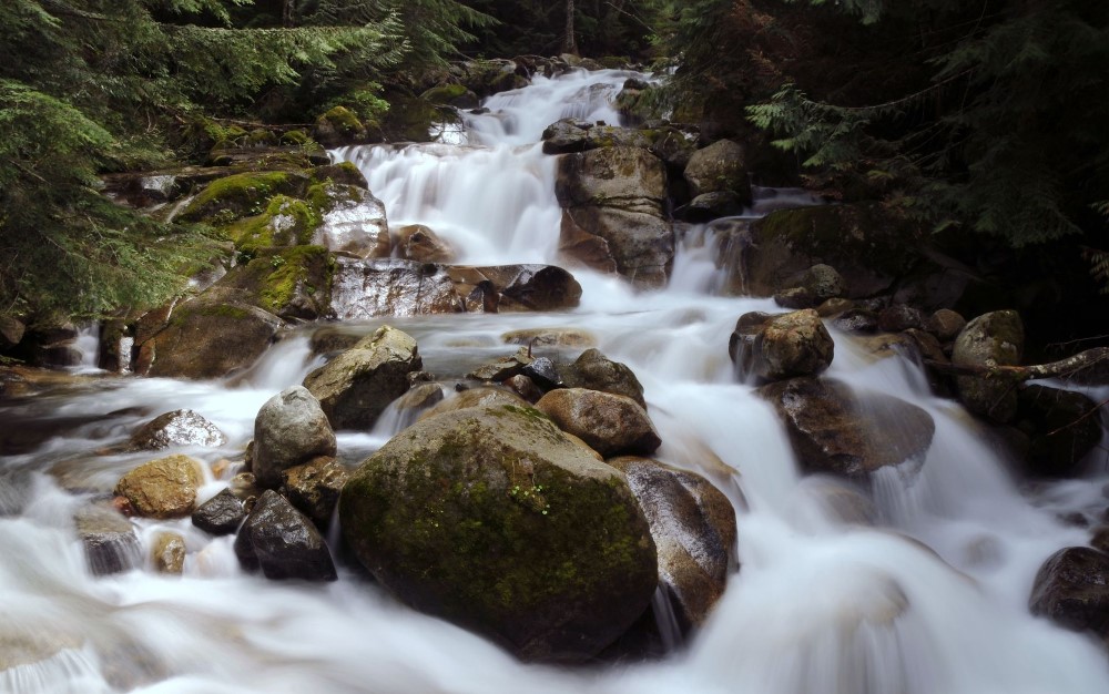 Torrent de montagne