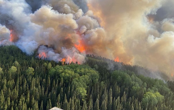 Incendie de forêt