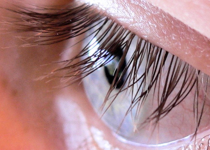 Cils de paupière