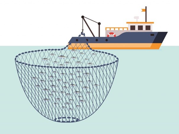 Schéma d'une senne tournante d'un chalutier