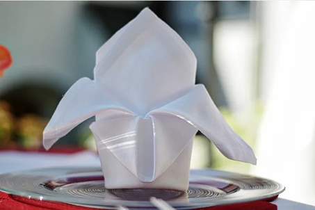 Pliage original de serviette