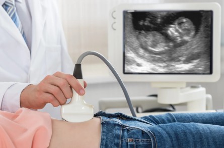 Échographie d’une grossesse