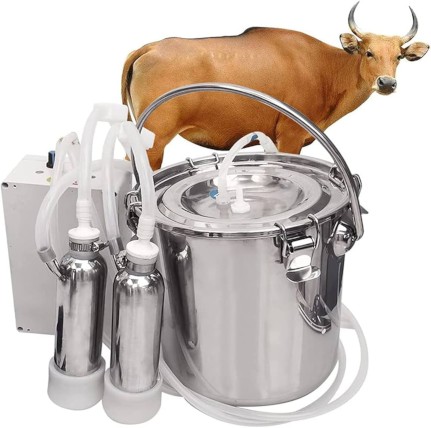 Trayeuse à vache