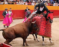 Picador