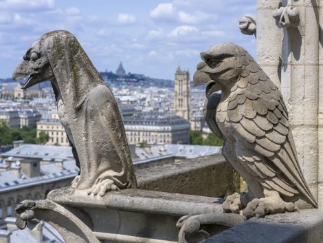 Gargouilles de la cathédrale Notre-Dame de Paris